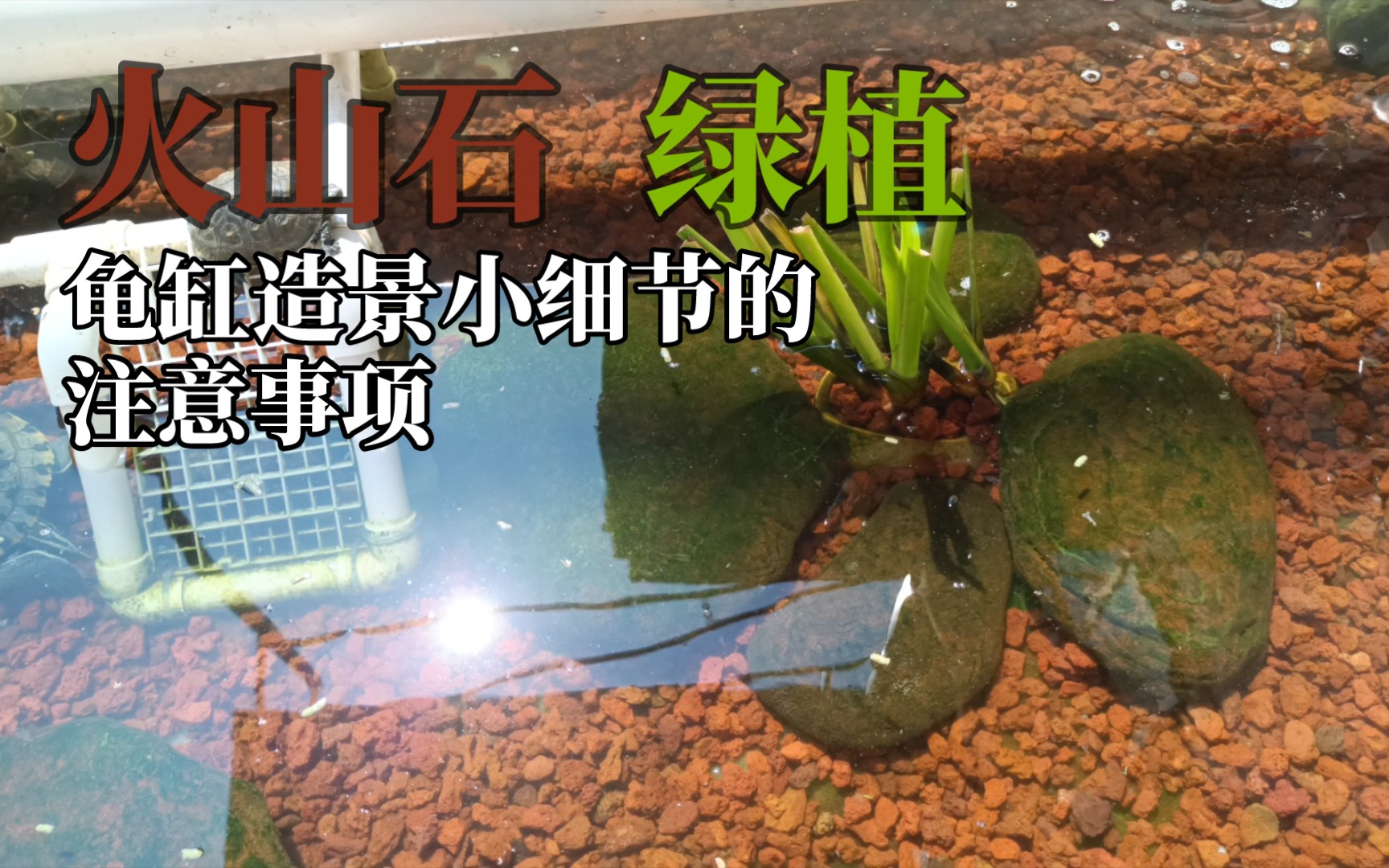 龟产蛋池网格乌龟晒台diy蛋龟水龟产蛋池沙池龟下蛋箱孵化沙盘生-淘宝网