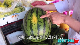 0ea4e8c691d467a26e07505557b4b658823a971f.jpg@280w_158h_1c_100q.jpg