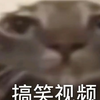 搞笑视频