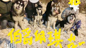 0edd45436cc78a24b50f3308746fcb81c8cf543b.jpg@280w_158h_1c_100q.jpg