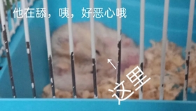 0ee513bb839d1b5369c793d8c9fb161c29313cbc.jpg@280w_158h_1c_100q.jpg
