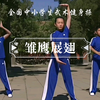 《全国中小学生武术健身操-雏鹰展翅