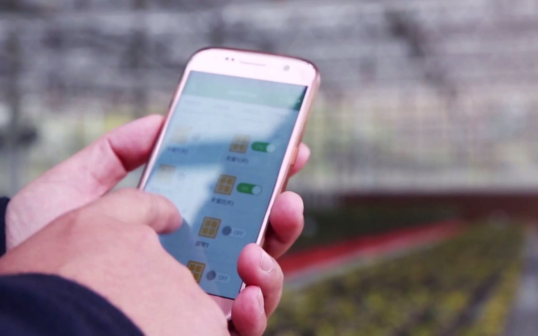 现代农业园区温室大棚种植园区#智能温室 #温室大棚 #玻璃温室