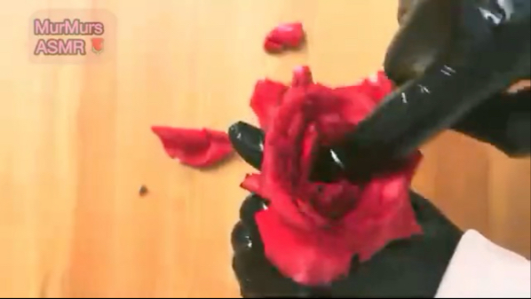 【murmurs asmr】辣手摧花