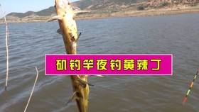 0f01ad0560c23020f0dc00d7f848685d6b0c0735.jpg@280w_158h_1c_100q.jpg
