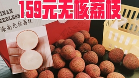 0f0530ca5d818cd4b1e985b688e88c530f0c385d.jpg@280w_158h_1c_100q.jpg