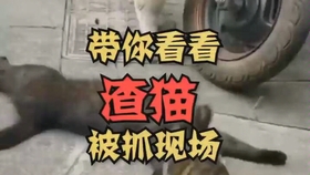 0f0d8b709be42d929c9a3bfdaef548df274a3309.jpg@280w_158h_1c_100q.jpg