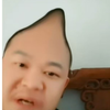 和阿诺来一场奇妙冒险吧
