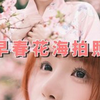 春日限定樱花拍照姿势⁺◟✿花跟我都自由