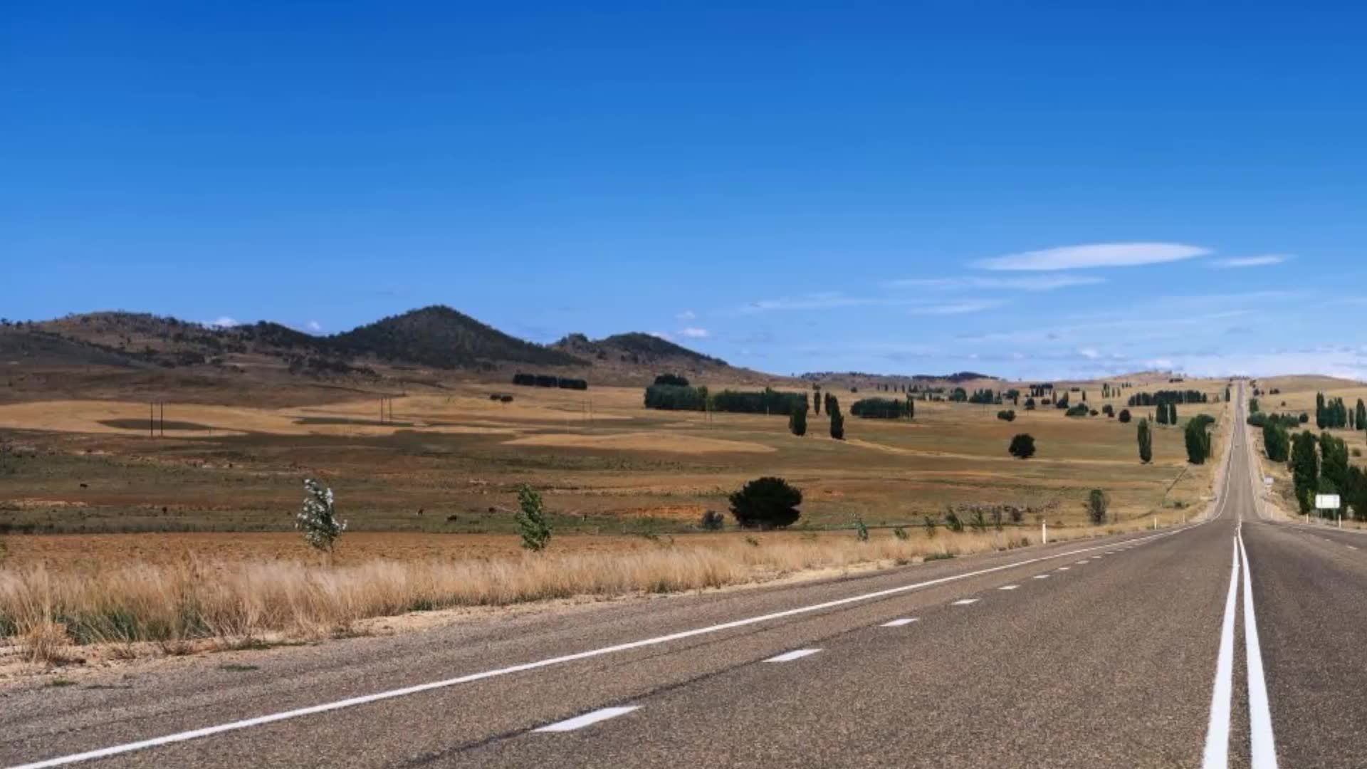 金牌人生(陈名鲍雯)最新章节_金牌人生最新章