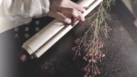 猿鹤双清曲谱_猿鹤双清古琴谱