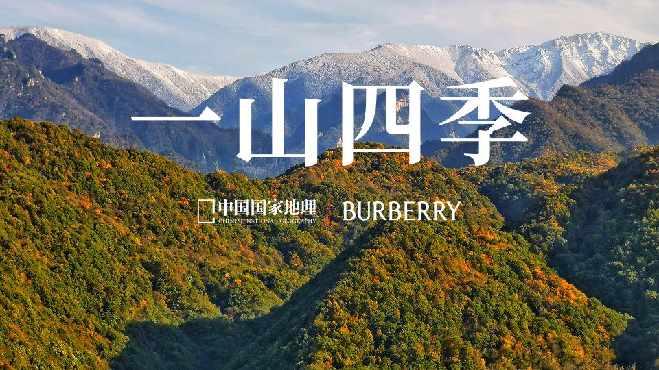 随陈坤启程，在一座山里领略四季