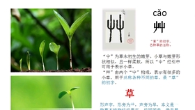 三撇儿的汉字 0f6717a0835963447cf9e8bf5741bddb2a637969.jpg@280w_158h_1c_100q.jpg