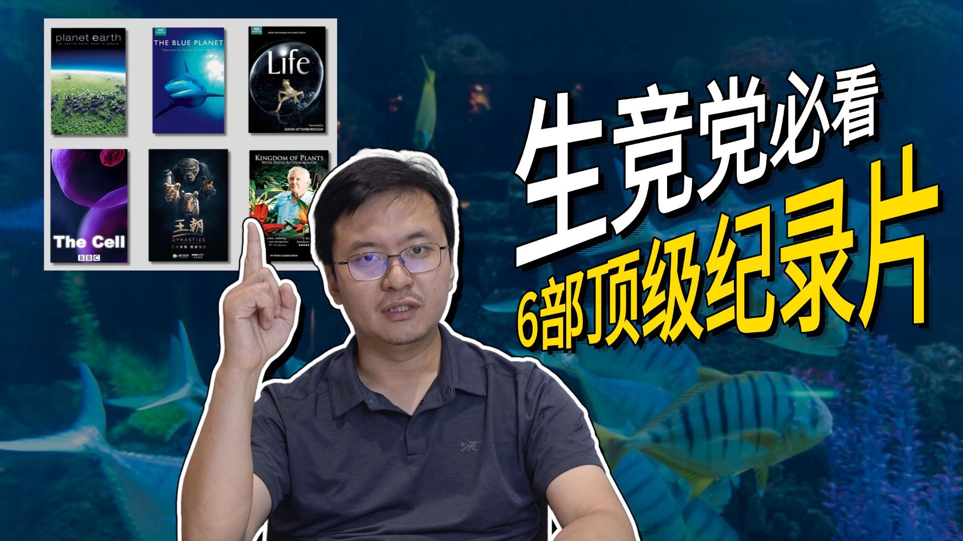 生竞党必刷的6部宝藏纪录片，看完生物知识水平直接next level！