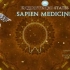 Sapien medicine：治疗内分泌系统