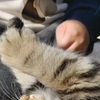 两个小男孩