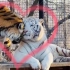 恋爱中的母老虎变得格外温柔！
