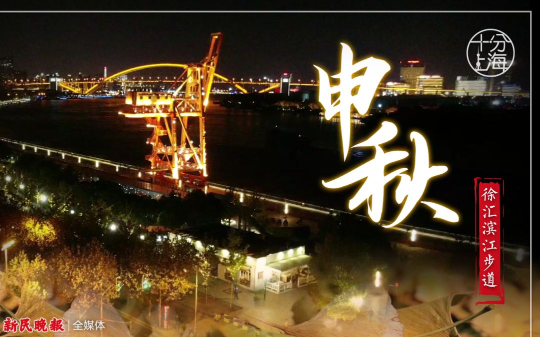 十分上海·申秋 | 滨江夜景加入落叶不扫“豪华套餐”，老码头变身秋夜最美风景线