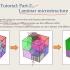 微结构（多晶体）生成和网格Neper软件教程2