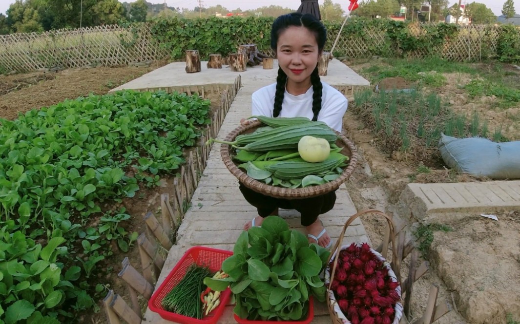 农忙没空去买菜，香香菜园里随便一摘就6种，自给自足的生活真好