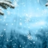 精品 · 4K冬天大雪纷飞森林唯美动态背景视频