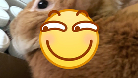 0fce03b7e9128cdef896683283f27ae013989ab9.jpg@280w_158h_1c_100q.jpg
