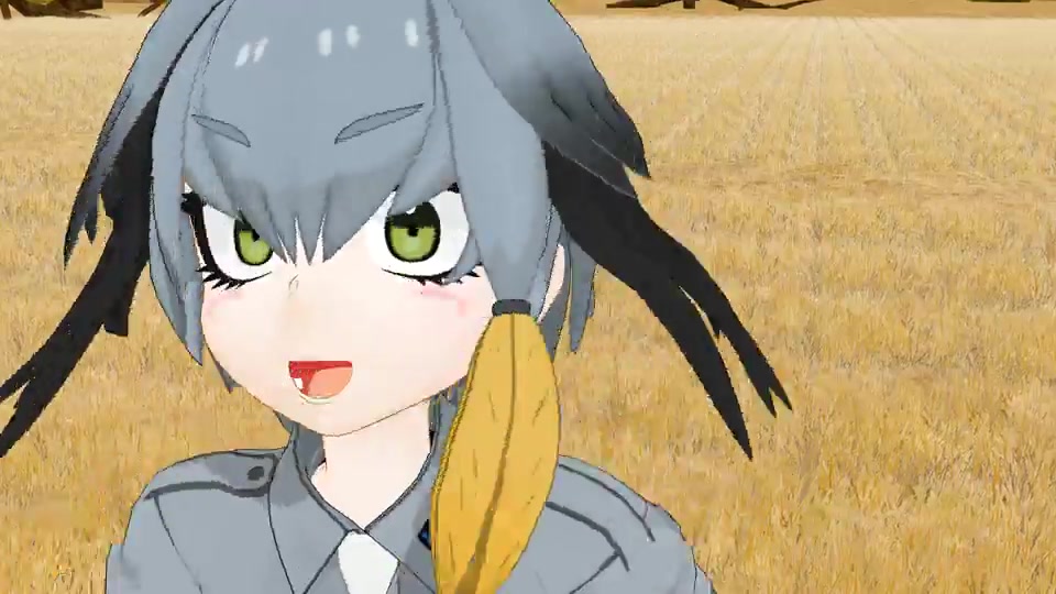 【兽娘动物园】鲸头鹳的里表情人