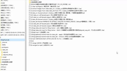 dfl教程2.3使用xseg的两种画法及其他便捷操作
