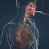 香烟烟雾含有破坏DNA的致癌物质外 还会产生对身体有哪些危害？