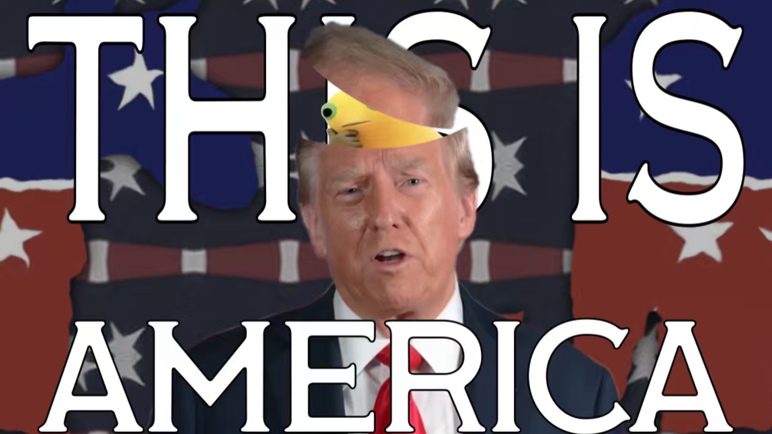 《This is America 2026》
