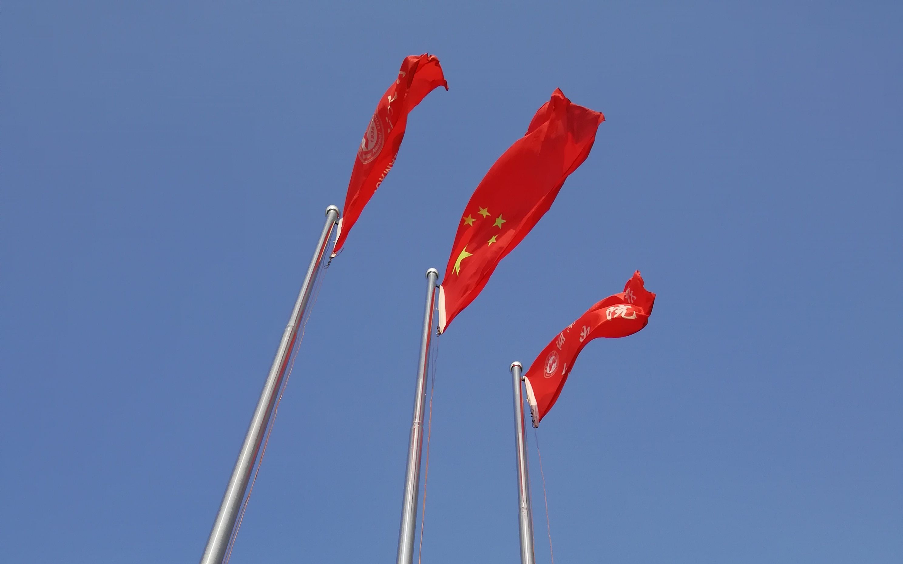 三旗飘扬湖南师范大学医学院