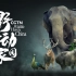 终于等来你！！总台CGTN 8K纪录片《中国：野生动物家园》官方宣传片上线！