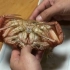 【终极渔夫】大师教你用筷子吃螃蟹