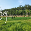 【时代少年团】系列《光辉岁月》——“破风