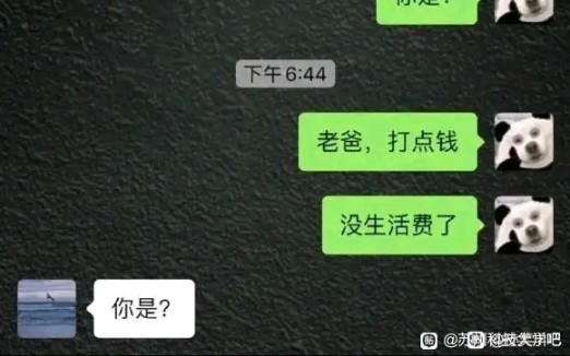 网络吊图+神评①④哔哩哔哩bilibili