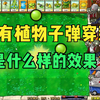 植物大战僵尸杂交版：当所有植物拥有子弹穿透效果会是什么样子？_植物大战僵尸