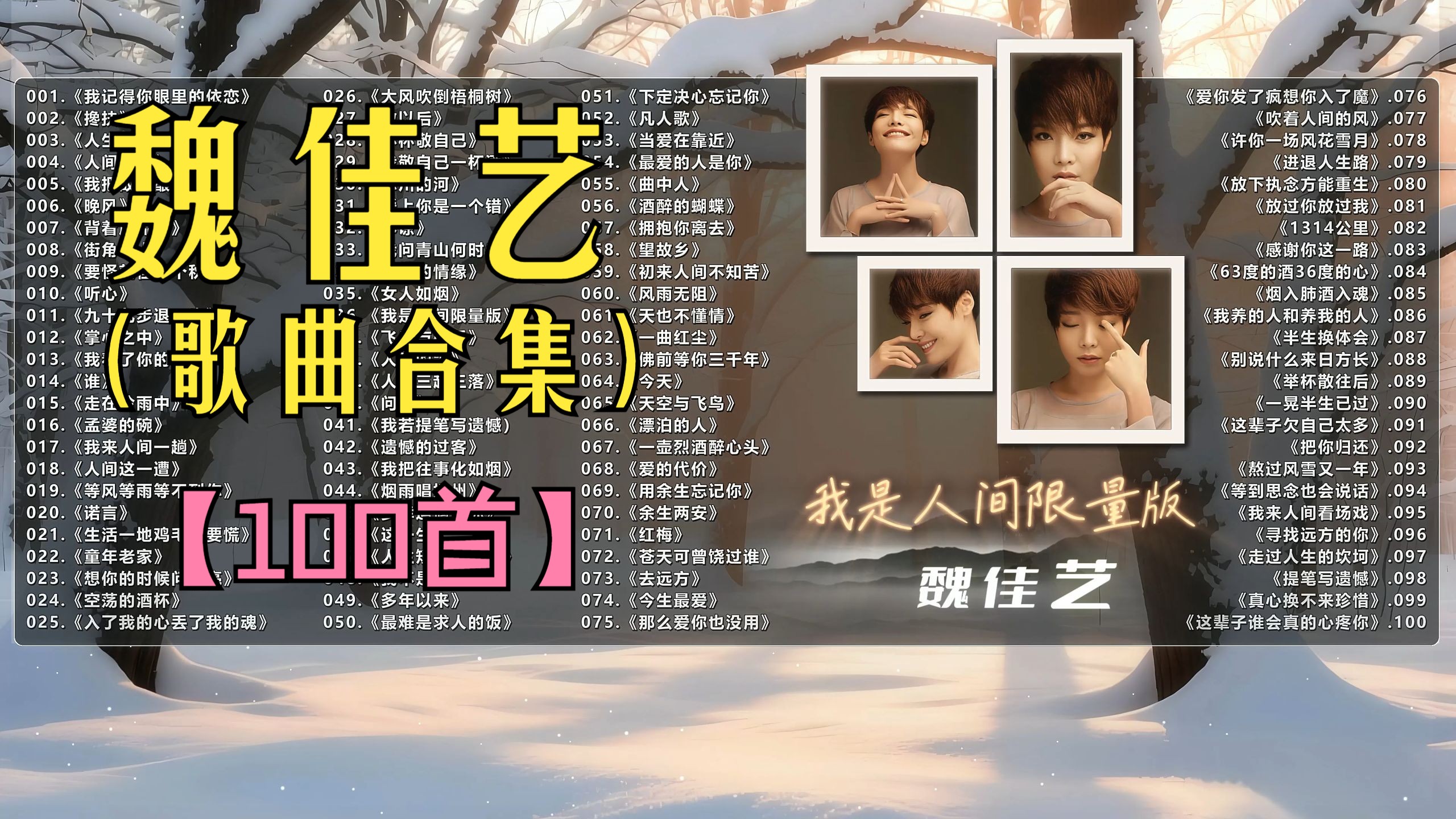 （不分P)【魏佳艺】用磁性嗓音演绎都市情感的细腻！(100首）《孟婆的碗》《掌心之中》《人生的道场》《忘川的河》《女人如烟》《我来人间一趟》