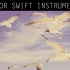1989 全专无和声纯音乐伴奏 - Taylor Swift