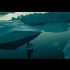【加勒比海盗】一个德普很少，船很多的混剪 | Hans Zimmer - At Wit's End | 电影混剪