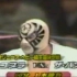 NJPW Toukon Series 1983. 11.3- Tag 24 The CobraVS. Davey Boy
