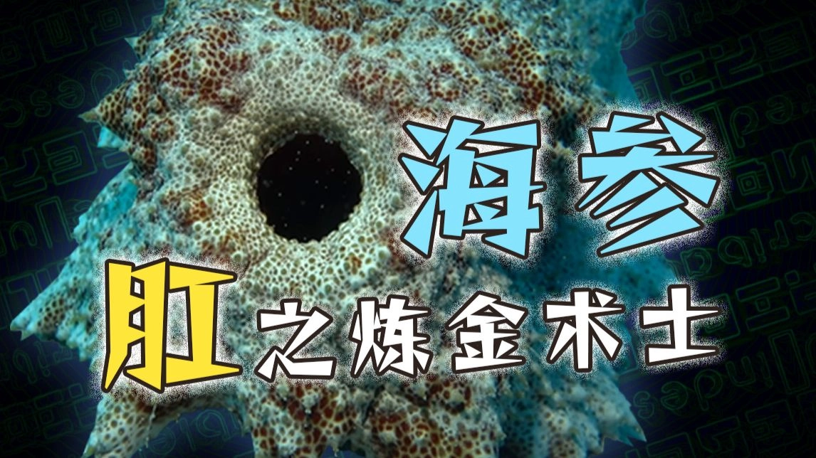 海参：我即是深渊 缩略图