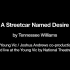 Official Young Vic's A Streetcar Named Desire
