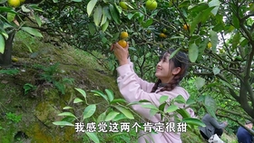 米饭怎么做成辣条 111958411c6525063e530ff9b2c56623cda994fc.jpg@280w_158h_1c_100q.jpg