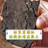 油页岩是高灰分的腐泥煤，含有类似石油的页岩油，能提炼煤油、灯油、石蜡、燃料油、润滑油、油脂、石脑油、照明气和化学肥料、硫