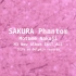 【中路もとめ】桜の幻影 SAKURA Phantom