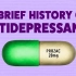 [TED科普]   抗抑郁剂是怎么工作的？