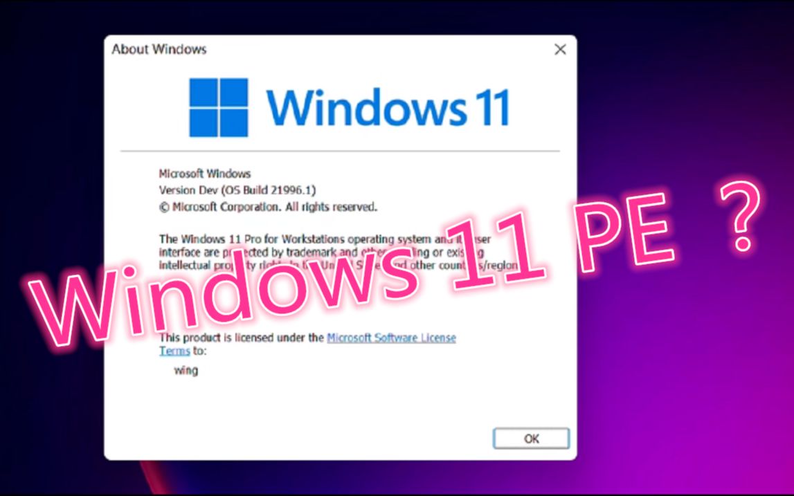 Windows11刚刚泄露出来，就被我做成了PE系统？？
