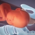 分娩期间的3D动画！记录婴儿出生的整个过程！让你感受下母爱的伟大！搭配一首扣人心弦的钢琴音乐！