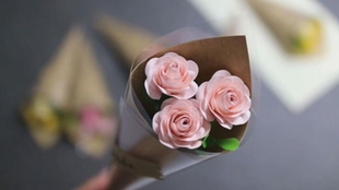 1154e05eace0c760a1cf01f30a28d02e7c74406c.jpg@310w_174h_1c_100q.jpg