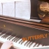 butterfly waltz（蝴蝶华尔兹）钢琴演奏